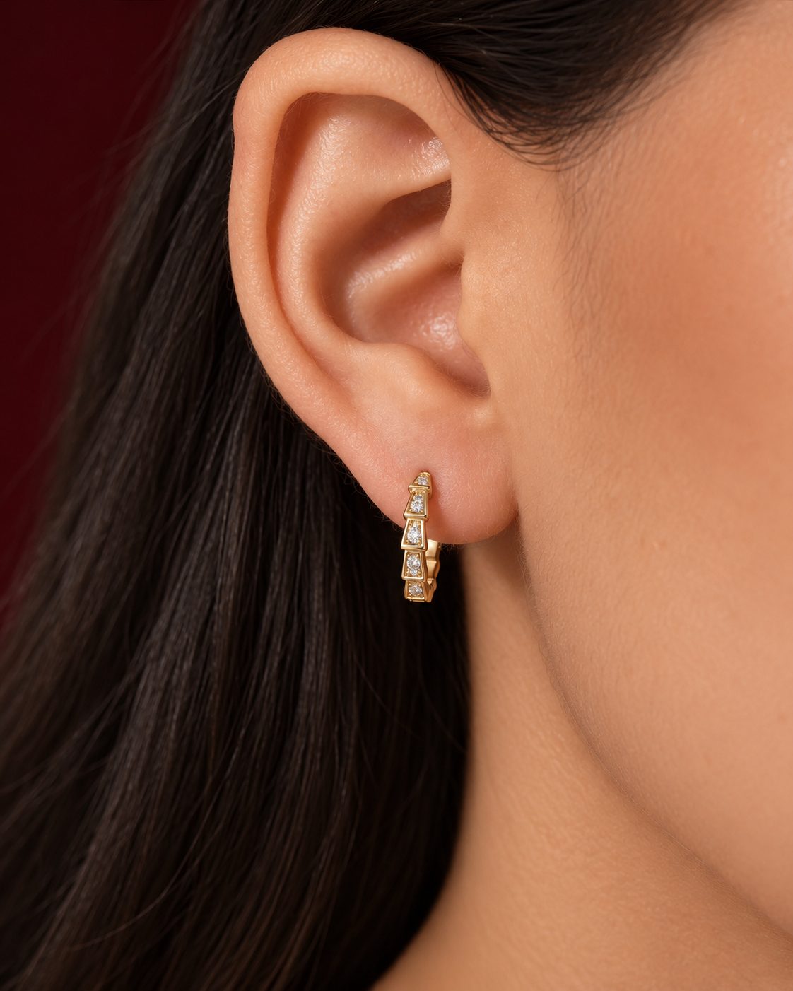 Argollas Estilo Serpiente con DN